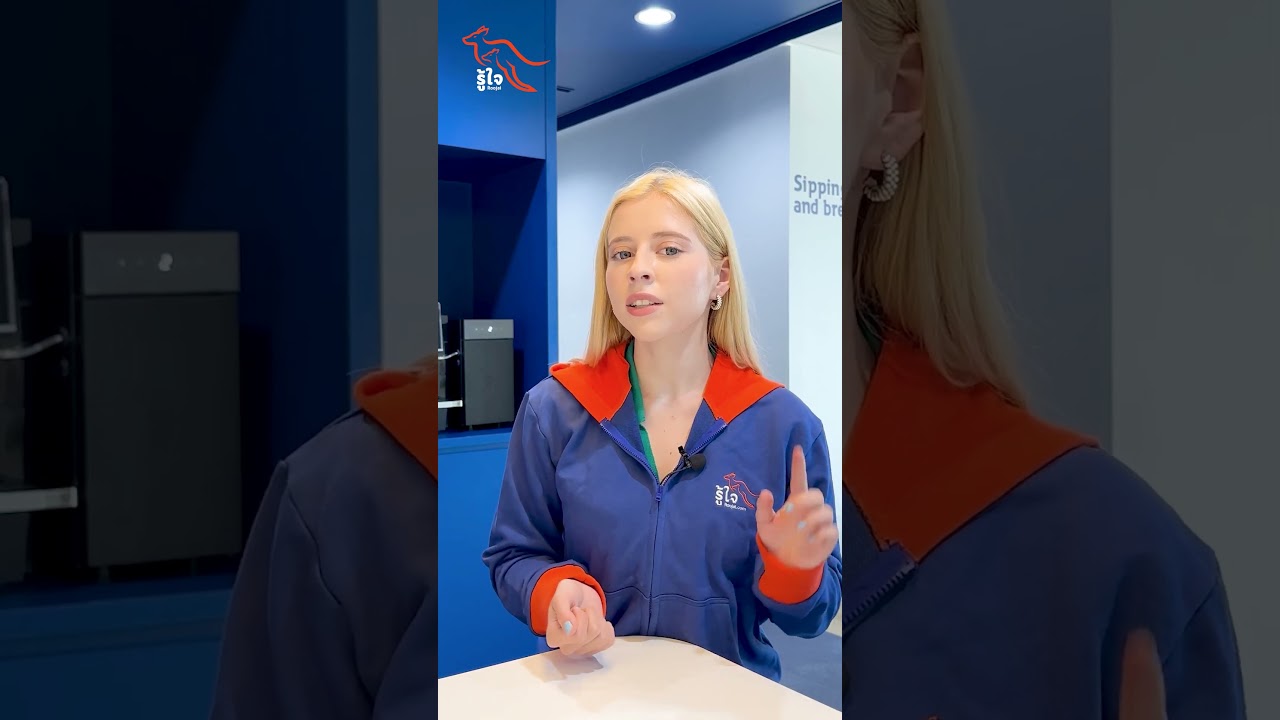 What is insurance policy and how does it work? Learn more about insurance policy at roojai.com