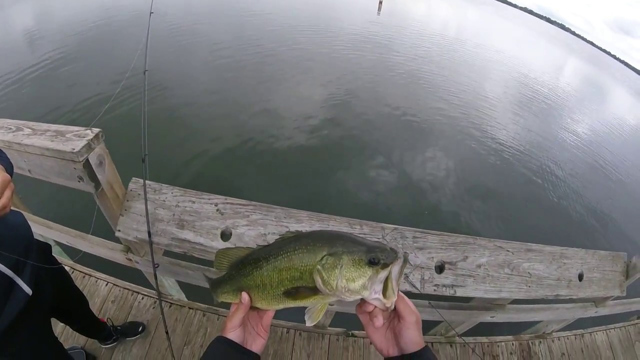 Fishing in Detroit Lakes, Minnesota 7 12 17 YouTube