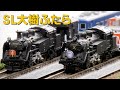 SL大樹の鉄道模型で遊ぶ / ROKUHAN Zゲージ