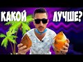 Как выбрать и открыть кокос? #coconut #кокос #пальма