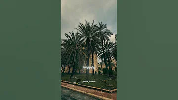 إن مسنا الضر أو ضاقت بنا الحيل لقطات من الساحل السوري 