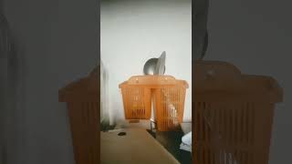 Download Lagu BEKAL AKHIRAT MP3