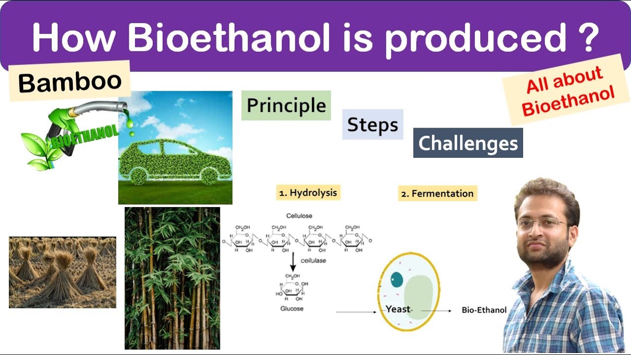 What is bioethanol fuel (Bamboo)? How it is produced? Principle
