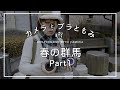 春の群馬 1/4 カメラとブラともみ#20