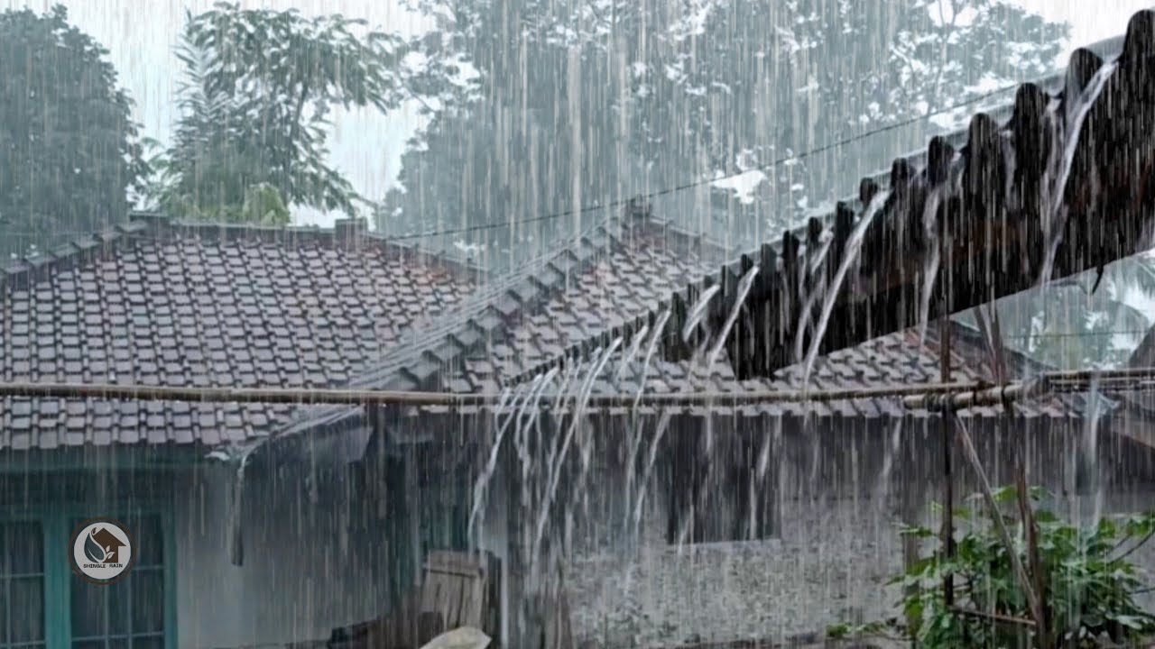 Проливной дождь на жестяной крыше тихого фермерского дома | Глубокая сельская атмосфера дождя