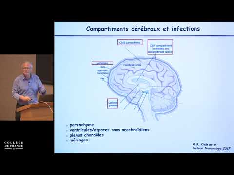 Immunité anti-infectieuse II (2) - Alain Fischer (2017-2018)