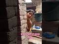 इनक जल द स कपड द ज ए Timelapse Funny Intertainment Hot Xxnxnxnxxx Xxxxxxxhggsgdh 