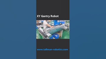 X/Y/Z Linear Gantry Robots from Tallman Robotics Limited