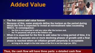 (9) HORIZON AND TERMINAL VALUE