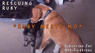 Ruby meets Mo | Sofia (supermama) from Takis Shelter