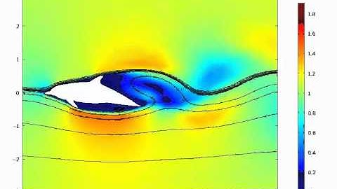 Comsol Finite Element Dolphin Simulation neg10deg 1m/s