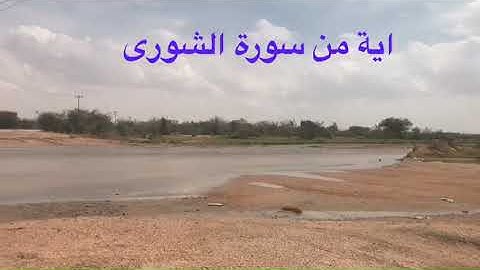 دحيم الحماد 1444ه منظر من السيل اية من سورة الشورى