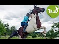 Pferdeflüstern (Folge 71) | Tiere bis unters Dach | SWR Plus