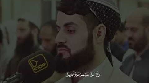‏﴿أَلَمْ تَرَ كَيْفَ فَعَلَ رَبُّكَ بِأَصْحَابِ الْفِيلِ‏||بصوت رعد الكردي||سورةالفيل.