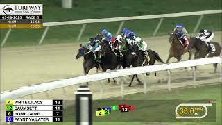 RACE 5 PROGRAM 3/19/2025