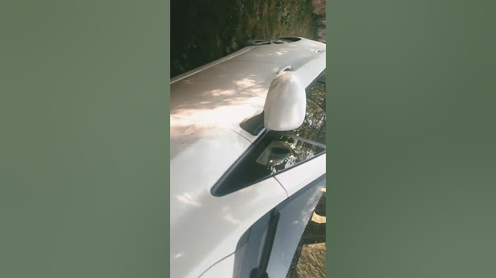 toiota prius its lion