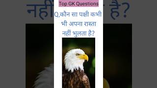 GK questions ??।।GK questions and answers ??।। GK in Hindi ? । viral gkquestion gk gkfacts,