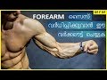 Complete FOREARM WorkOut in Malayalam For Begineers | Explained in മലയാളം | MFM