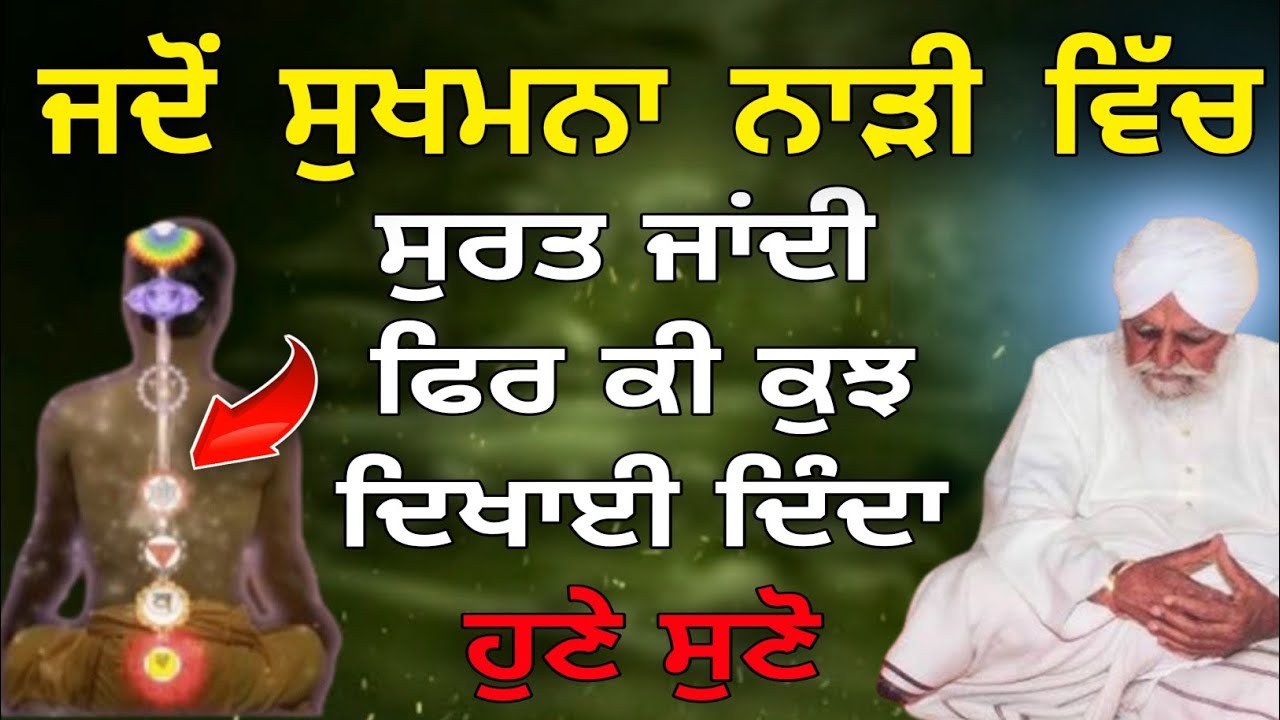 Jado sukhmana naddi vich surat jandi sant waryam singh katha 