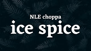 NLE Choppa - Ice Spice (MUNCH) (Official Music lyrics)