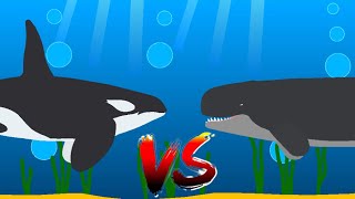 Orca vs False Killer Whale (Stick Nodes Animation)