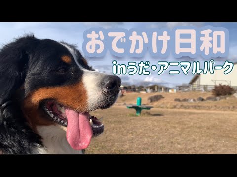 うだ・アニマルパークへお出かけ