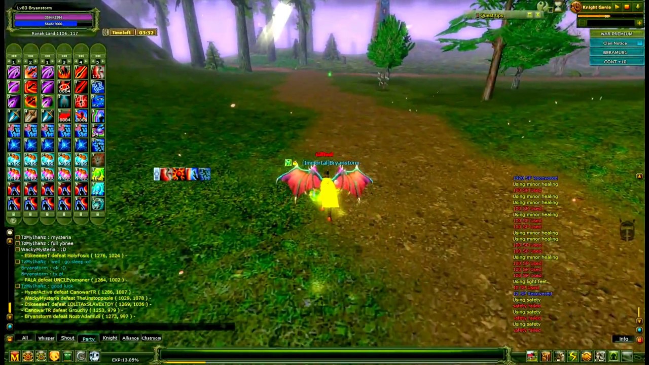 knight online steam assassin PK