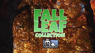 Leaf Collection PSA