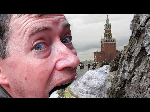 Гриб Трутовик справжній - 150 грам. Сухий, перемелений., видео 1