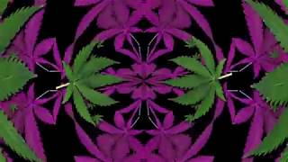 Free VJ loop 2018 23 Vj Tripaki,  DMTeam Montreal weed 17-oct