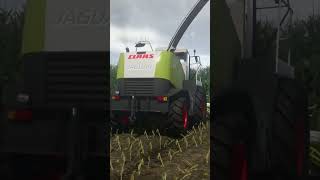 FS25 | Claas Jaguar 900 | Pure sound #fs25 #farmingsimulator #claas #claasjaguar #silage