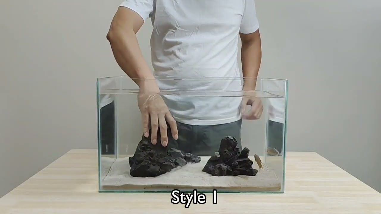 AQUAJOY: Versatile Styling with Flexible Placement Options