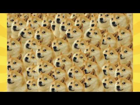 what-is-doge؟-the-history-and-origin-of-the-dog-meme-explained