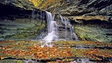 تلاوة خاشعة_هاني الرّفاعي من سورة الأعراف