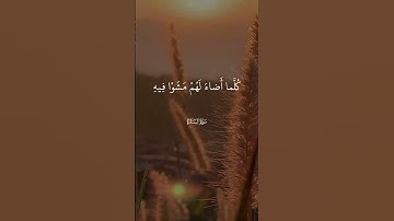يكاد البرق يخطف أبصارهم | القارئ عبد الباسط  Abdulbasit surah albaqara