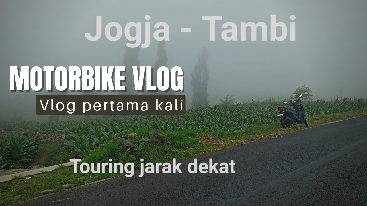 Kebun teh Tambi. Solo Touring Jogja-Tambi. Motovlog Jogja-Tambi. Dieng, Wonosobo