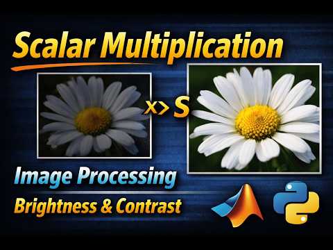 Scalar Multiplication in Image Processing Explained (With MATLAB & Python)