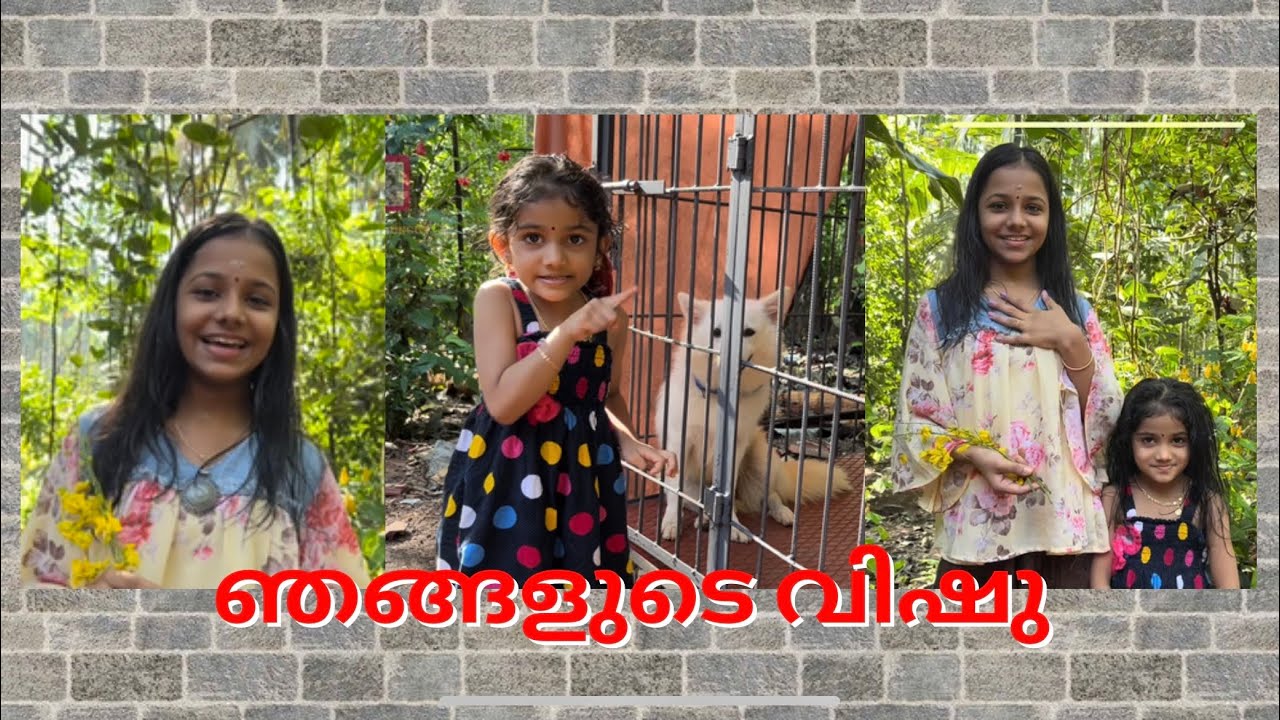 ഞങ്ങളുടെ വിഷു ആഘോഷവും, സദ്യയും 😍 | Vishu 2022