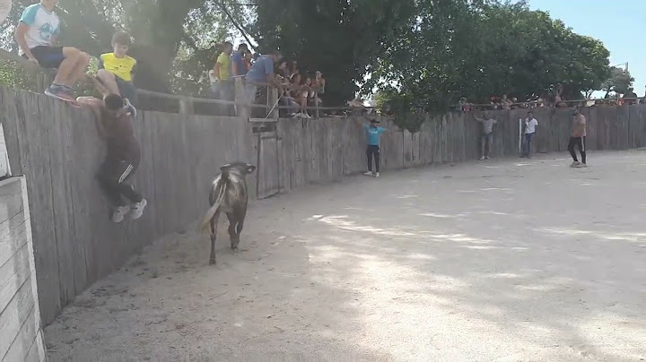26 Mai 2022 La Première Vache Espagnole Qui Rentre - À La GANADERIA FRANÇOIS ANDRÉ