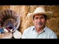 Grain for the People | Mexico's Timeless Maize