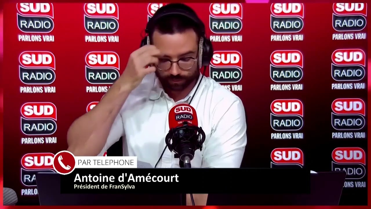 "Ce sont des réseaux criminels !" : Les propriétaires forestiers victimes de vols de bois