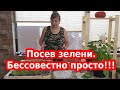 Микрозелень кресс салат. Простой способ выращивания дома