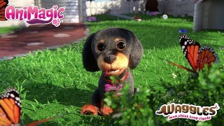 Animagic - Waggles joue avec des papillons
