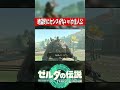 絶望的にセンスがないバカ主人公『ゼルダの伝説ティアーズオブザキングダム』 #shots