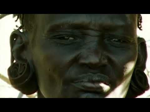 El origen del Hombre la ruta de la Eva mitocondrial. (audio Latino) Incompleto