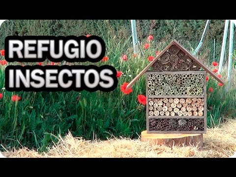 Video: Hoteles caseros contra insectos: construcción de un hotel contra insectos para el jardín