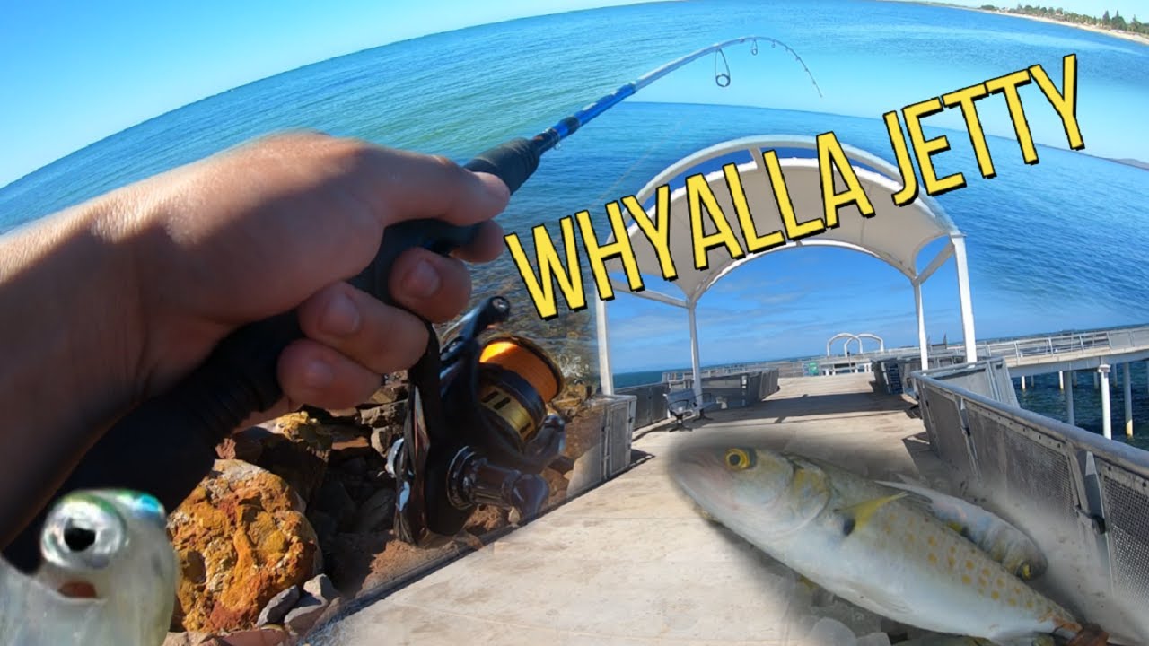 Fishing The New Whyalla Jetty YouTube
