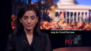 Vandana Singh - 3 Minute Research Video | MIT SRP