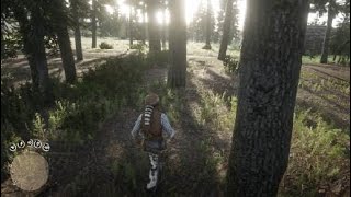RDR2 Violet Snowdrop Location | พิกัดสโนว์ดรอปสีม่วง