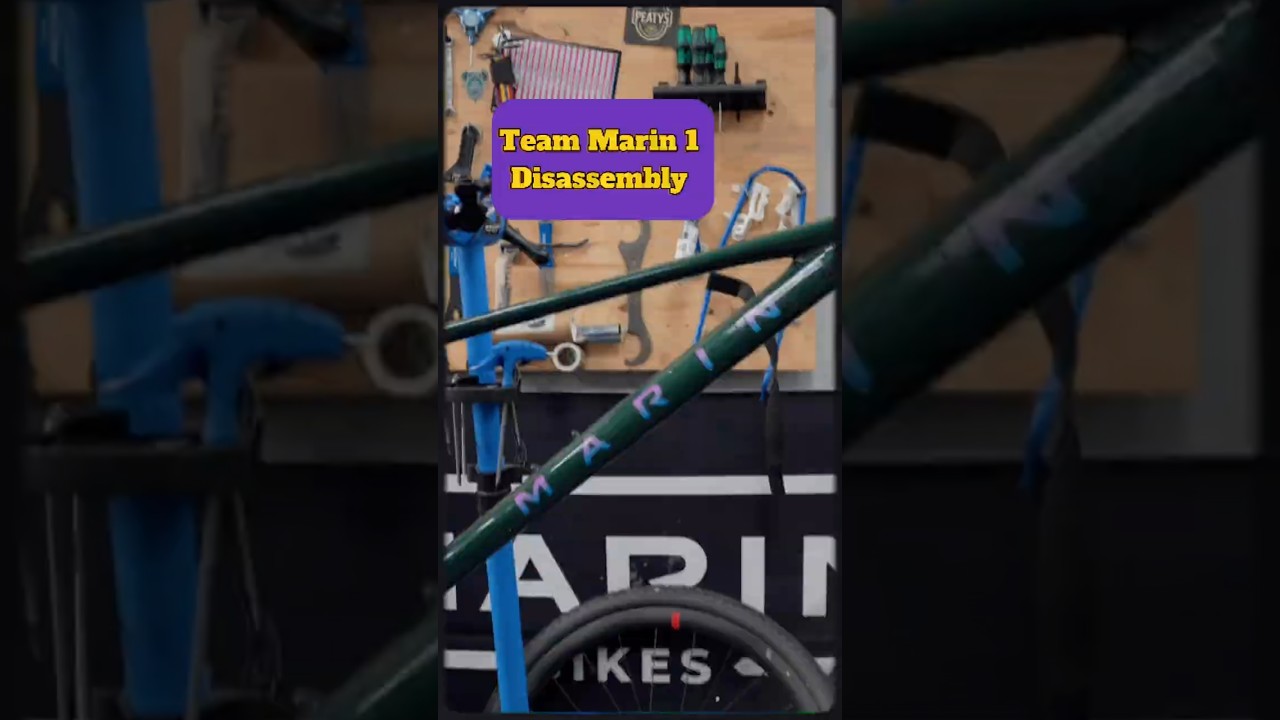 Team Marin 1 Disassembly 